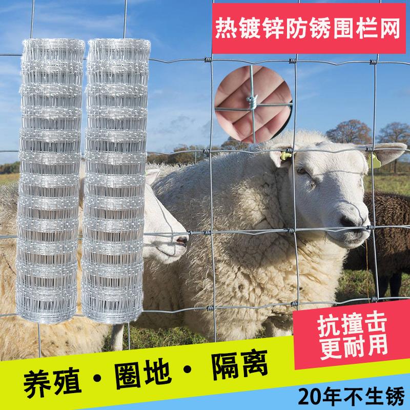 热镀锌铁钢丝网养殖牛羊防护牛栏网栅栏果园草原护围栏户外防盗网
