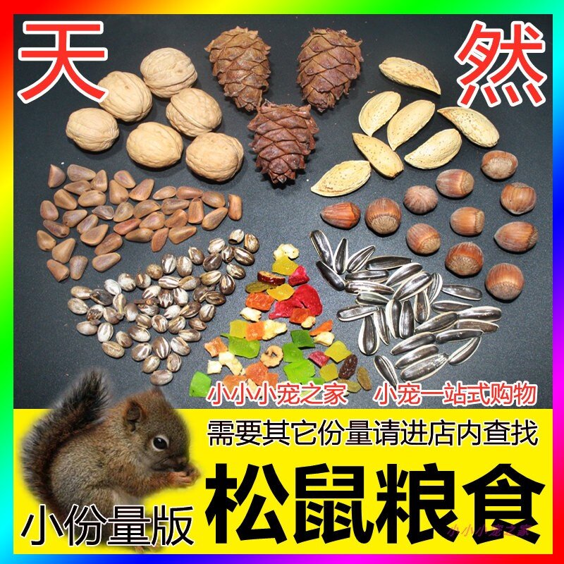 松鼠粮食专用主食幼崽吃的食物饲料营养主粮零食坚果松子松塔小图片