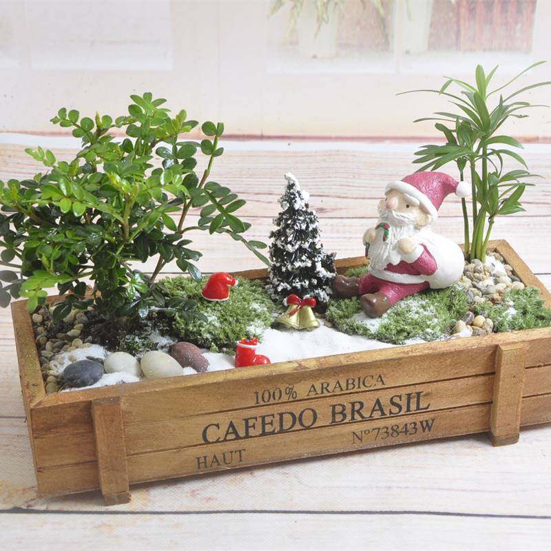 苔藓微景观办公室小盆栽创意迷你diy植物室内植物小盆景微缩景观