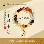 普陀山官方十八籽手串正品 女款 多宝菩提佛珠文玩手链男送生日礼物