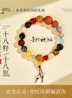 普陀山官方十八籽手串正品女款多宝菩提佛珠文玩手链男送生日礼物