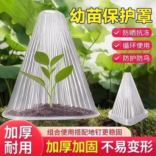 蔬菜植物罩防虫防鸟瓜苗菜苗幼苗育苗秧苗大棚育苗保温防霜保护罩