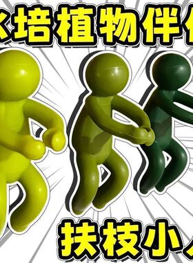 水培植物生长伴侣固定扶正器