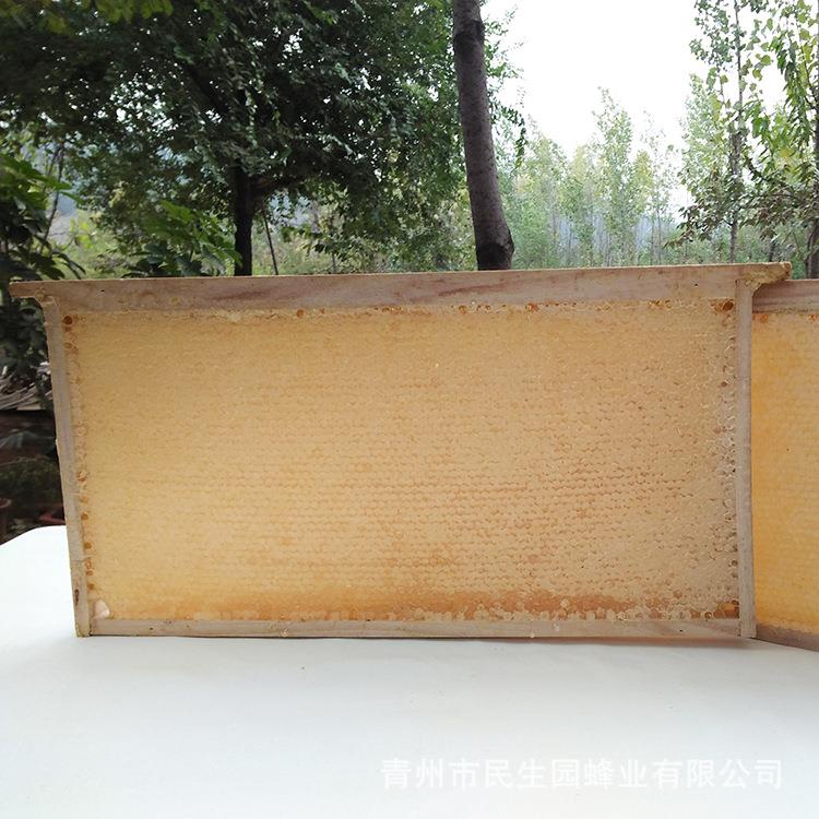 蜂农自产自然成熟封盖巢蜜 整板5-6斤左右蜂巢蜜 原蜂蜜