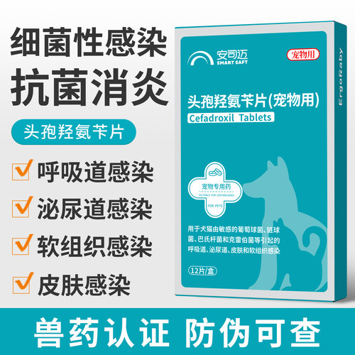猫狗消炎药肠胃皮肤炎泌尿道感染