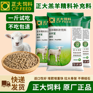 正大饲料585羔羊开口料小羊羔专用颗粒饲料断奶育肥增肥促生长