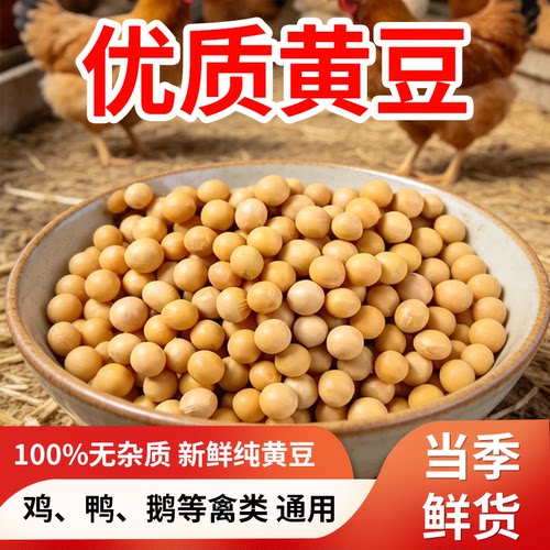 炒黄豆熟黄豆鸽粮信鸽专用粮