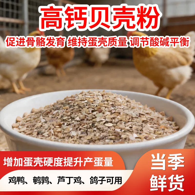 高钙贝壳粉饲料添加剂图片