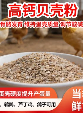 高钙贝壳粉饲料添加剂