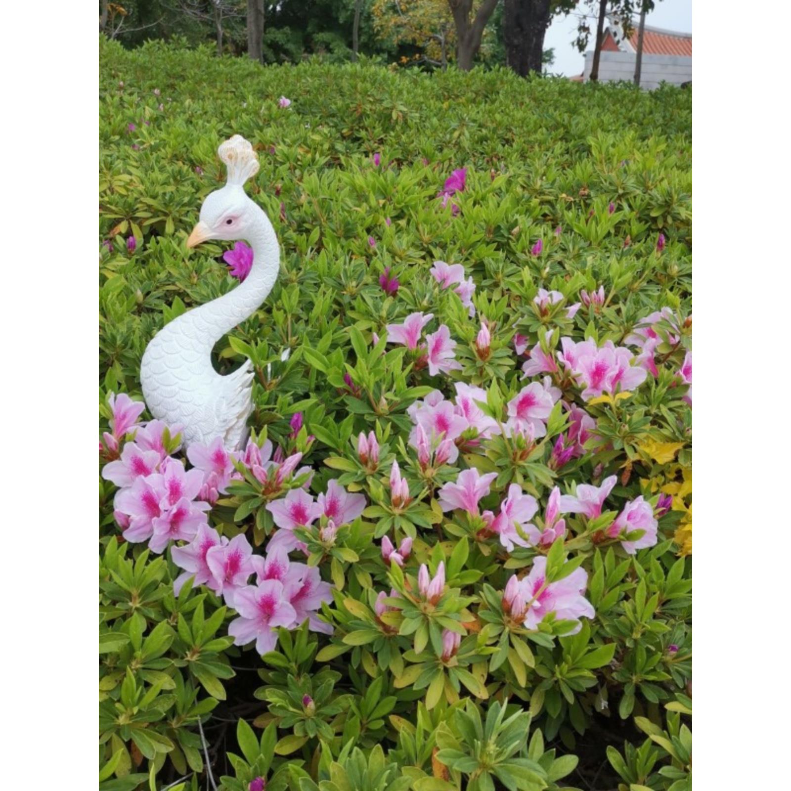 户外庭院花园景观风格创意孔雀插花盆插装饰盆栽植物装饰阳台花园