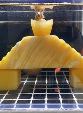 黄蜡石乌龟晒台发色养桥小青巴西龟草墨龟造景石南美鱼缸石头包邮