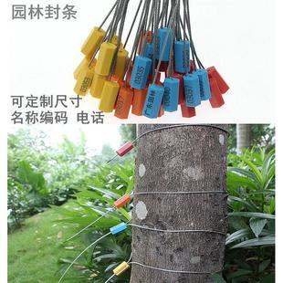 定制树木打号扣一次性塑料封条园林苗木锁扣海钓医疗防盗扎带封签