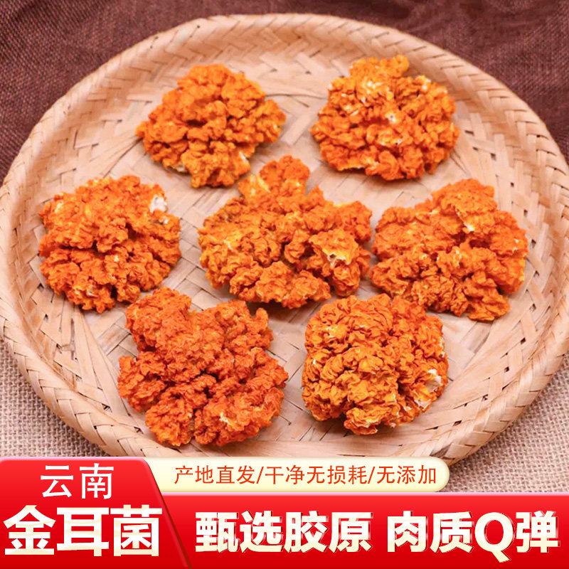 相遇红颜金耳菌野生菌菇