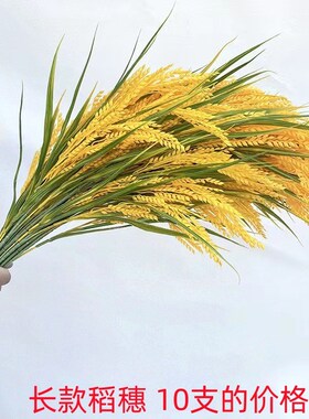 长款仿真稻穗塑料金黄色稻谷丰收水稻舞台装饰布景假禾苗演出道具