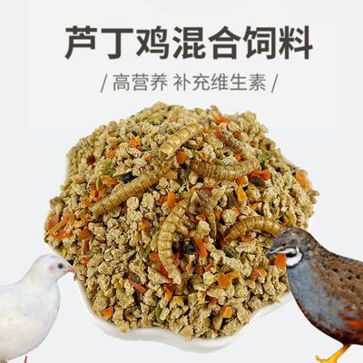 芦丁鸡鹌鹑专用饲料面包虫蔬菜干