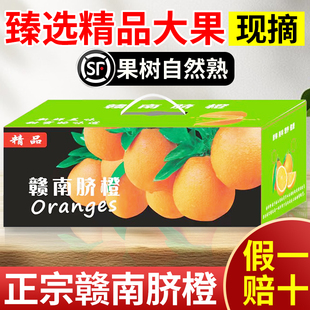 顺丰直邮赣南脐橙官方旗舰店10斤大果信丰橙子新鲜当季水果礼盒