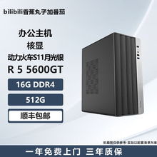 5600GT/核显低预算网游游戏主机
