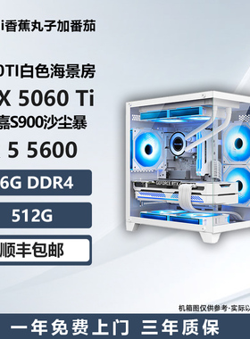 【5060TI白色海景房】5600/13400F/12600KF电竞游戏电脑主机