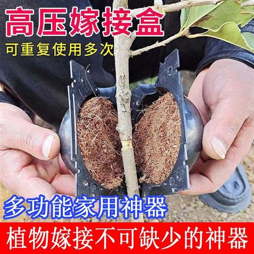 植物高压盒果树花木多功能扦插嫁接家用神器高空压条生根球工具