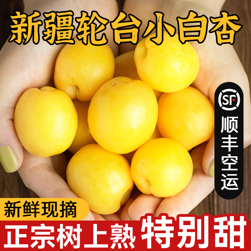 新疆小白杏新鲜轮台杏子甜杏库车白杏子当季新鲜水果整箱顺丰正宗