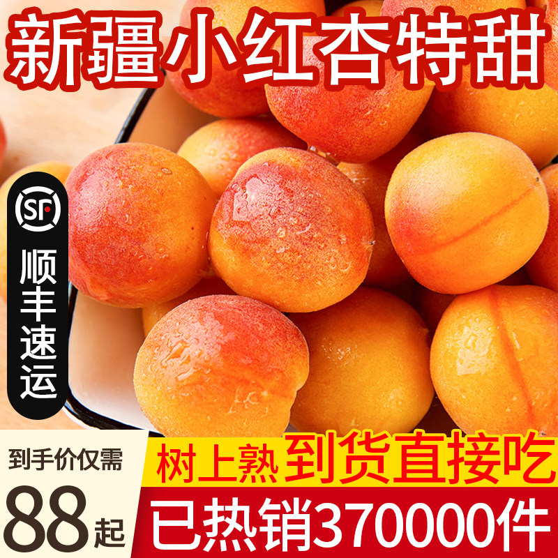 新疆小红杏阿克苏新鲜水果甜杏子当季整箱孕妇水果胜小白杏顺丰