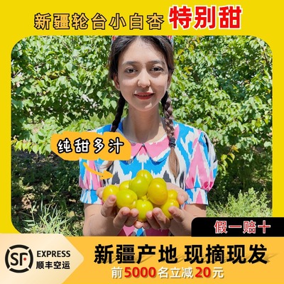 新疆小白杏轮台杏子库车甜杏当季新鲜整箱孕妇水果小红杏顺丰空运