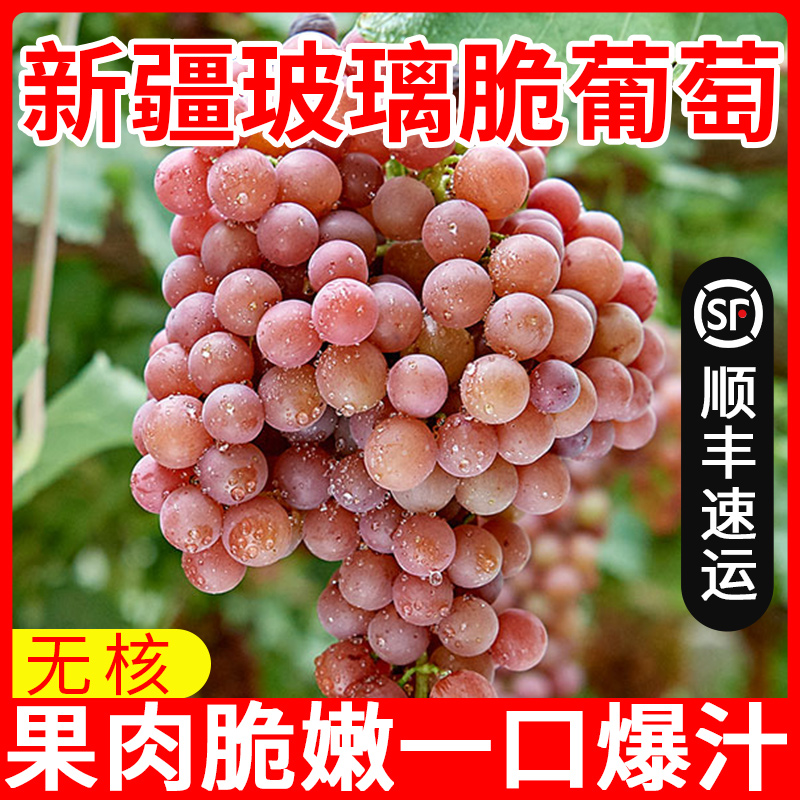 新疆玻璃脆葡萄吐鲁番无核当季现摘新鲜无籽红提嘎嘣脆水果整箱