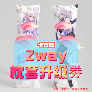 12.20 适配11.20 卡古娅_三代2way抱枕套升级券 50x160cm枕芯