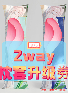 阿葱_三代2way抱枕套升级券 50x160cm枕芯 适配12.20-1.20