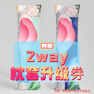 阿葱_三代2way抱枕套升级券 50x160cm枕芯 适配12.20-1.20