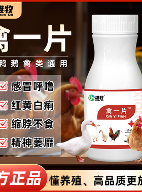 雄牧禽一片鸡鸭鹅禽类缩头炸毛呆立闭呼噜气喘呼吸困难养殖专用