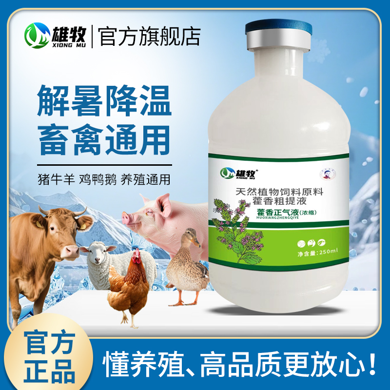 雄牧鸡用藿香正气水兽用藿香正气液鸡鸭猪牛羊热天解暑降温口服液