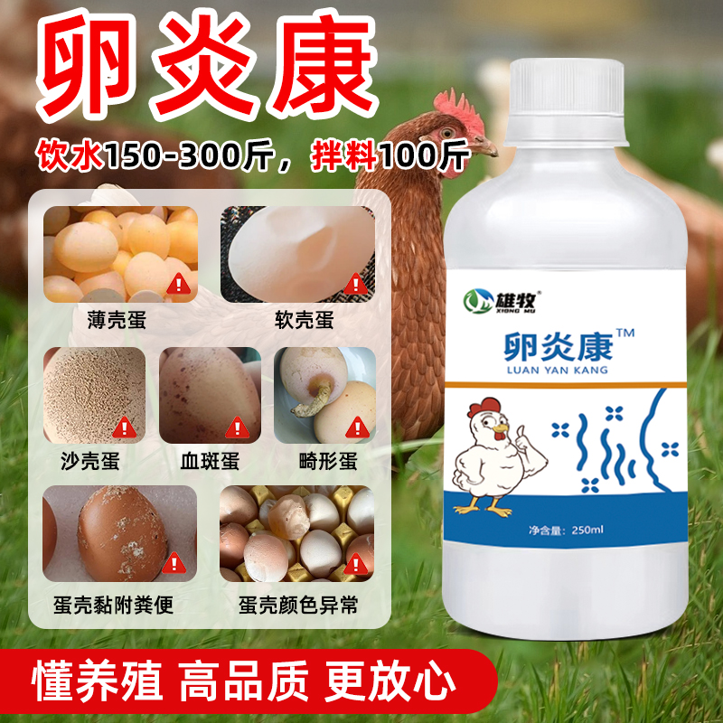 雄牧卵炎康鸽子不下蛋鸡鸭鹅输卵管炎蛋质差蛋壳软下血斑蛋畸形蛋