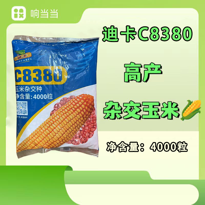 迪卡c8380玉米杂交种子高抗大棒抗病抗倒伏高产玉米种籽