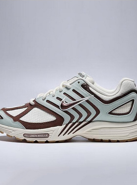 Nike耐克男鞋2025秋季新款AIR PEGASUS 2005 SE 复古休闲鞋IB2982