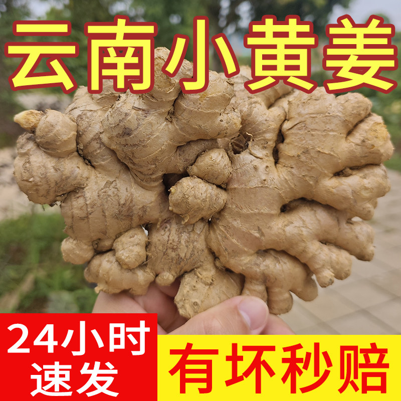老姜云南小黄姜农家新鲜生姜老姜现挖高山沙土姜母月子姜蔬菜包邮