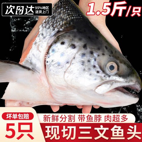 三文鱼头新鲜分割冷冻深海鱼头