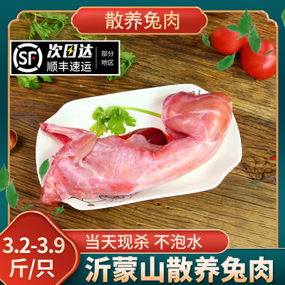 整只兔肉新鲜现杀生兔肉散养白条去头冷冻批发特大号生鲜烧烤食材