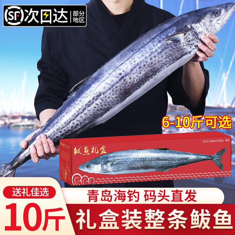 青岛鲅鱼新鲜冷冻整条马鲛鱼礼盒送礼送长辈海捕鲜活速冻海鲜水产
