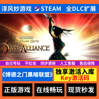 博德之门黑暗联盟 Steam 全球区 全DLC 激活码 激活入库 电脑游戏