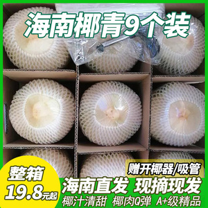 当季海南椰青新鲜椰子9个装孕妇水果香椰子水去皮一整箱特产包邮