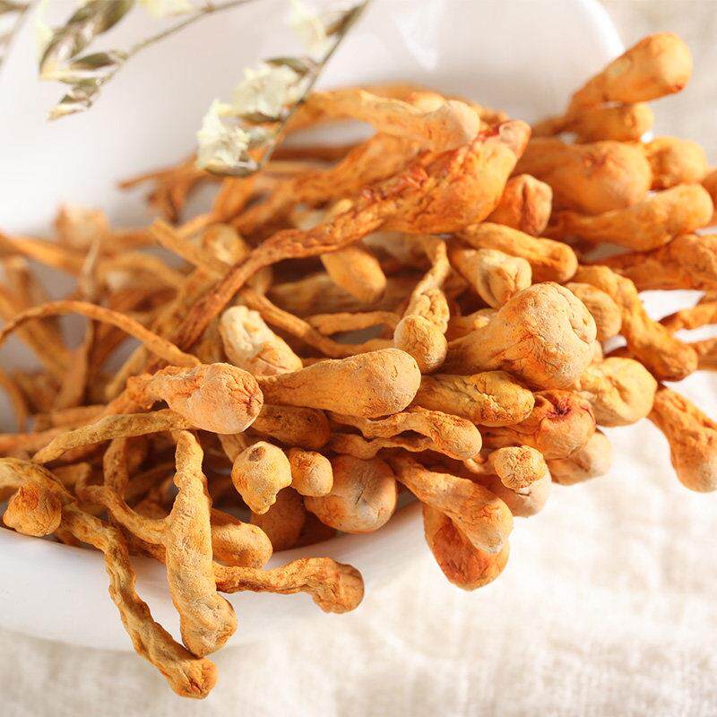 【0超头级桶】包邮YUE蛹*虫草虫草花10g2大孢子新鲜干货煲汤材料