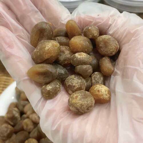 陈皮小春砂广阳阳春特产春砂仁嘉春沙爽脆益智LNF果新东隆兴江凉