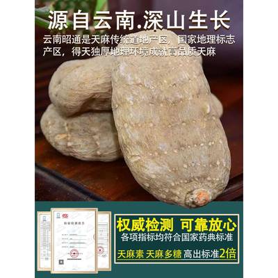 云天南昭通天麻干货宗特级小QJV草坝无硫正麻粉大天片煲汤250/麻5