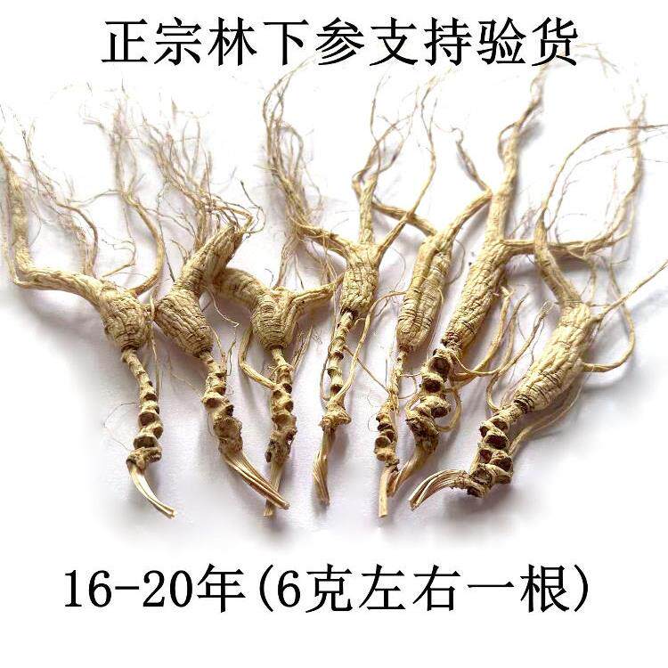 参野山参生晒干正东持北长白山林下参籽货15宗-MMN20年微残20g支