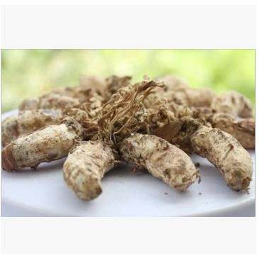 BNH大别包山金蝉花知0了花虫草花金蚕花 蝉花虫金草替代品50克邮