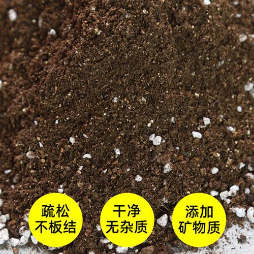 种菜土壤蔬菜泥炭土整包家用营养土绿萝养兰花盆栽专用通用型透气