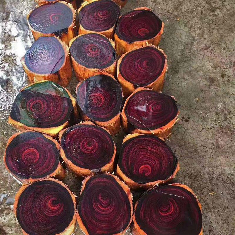 正宗海南黄花梨木料老料手把件珠子料原木雕刻料海黄木棍手刀柄料