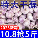 蔬菜批发紫皮特大10斤 蒜种籽2023当季 新鲜干大蒜头5斤装 金乡大蒜