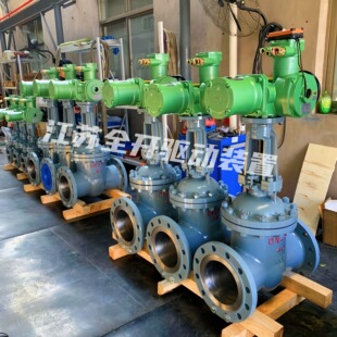 40C ZJ941H DN250 电动闸阀 ZJ45矿用隔爆兼本安型一体式